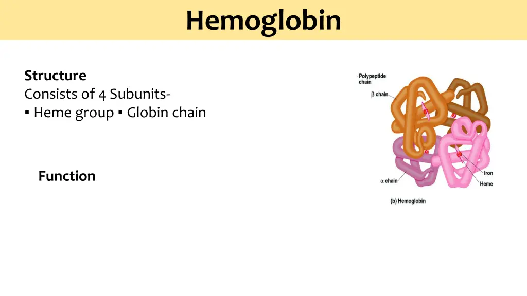 hemoglobin 1