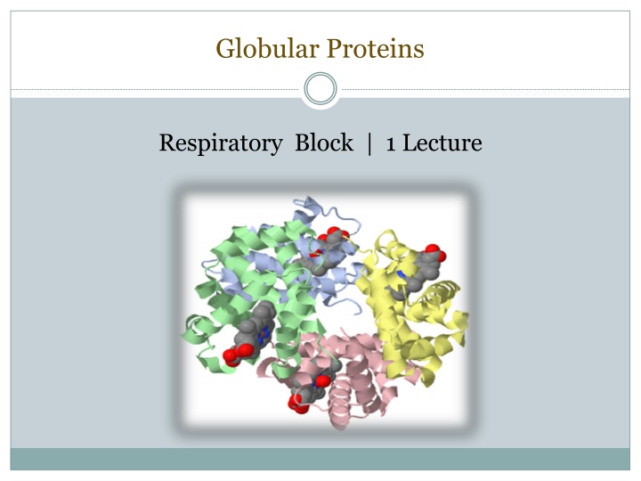 globular proteins