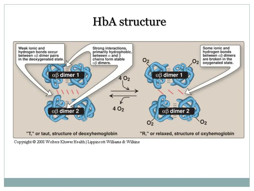 hba structure