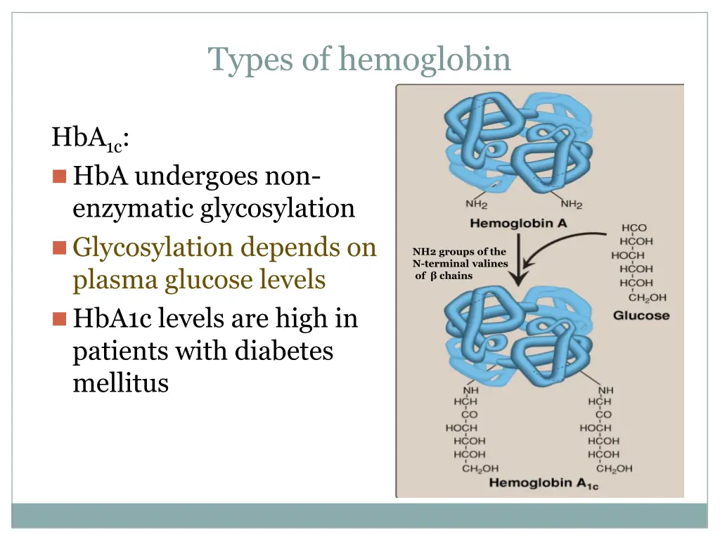 types of hemoglobin 2