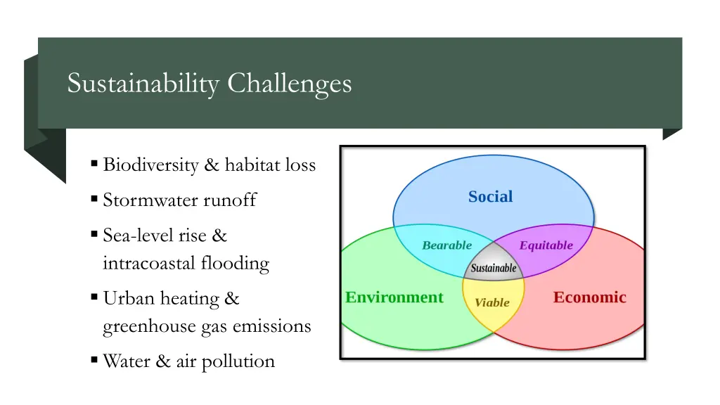 sustainability challenges