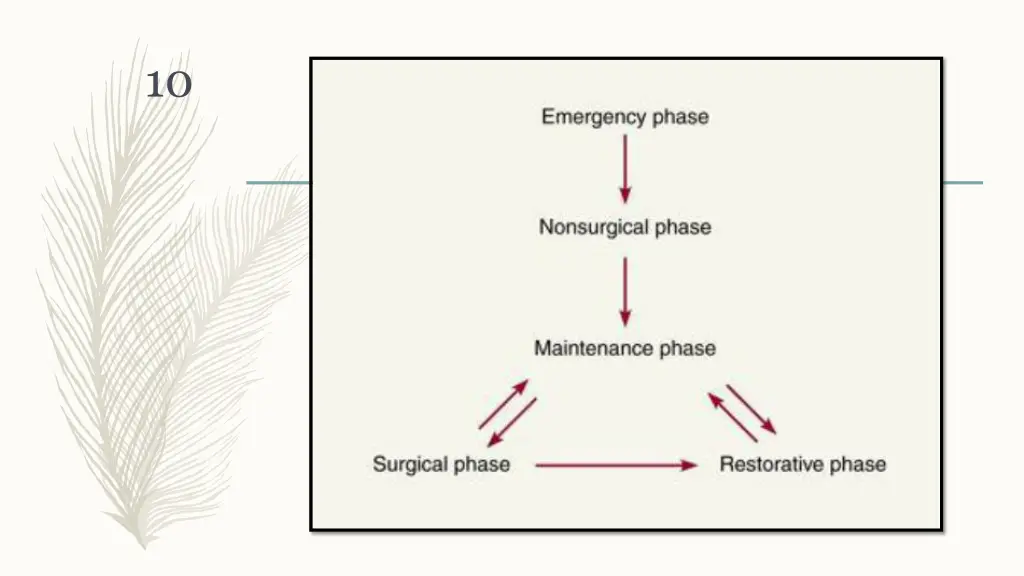 slide10