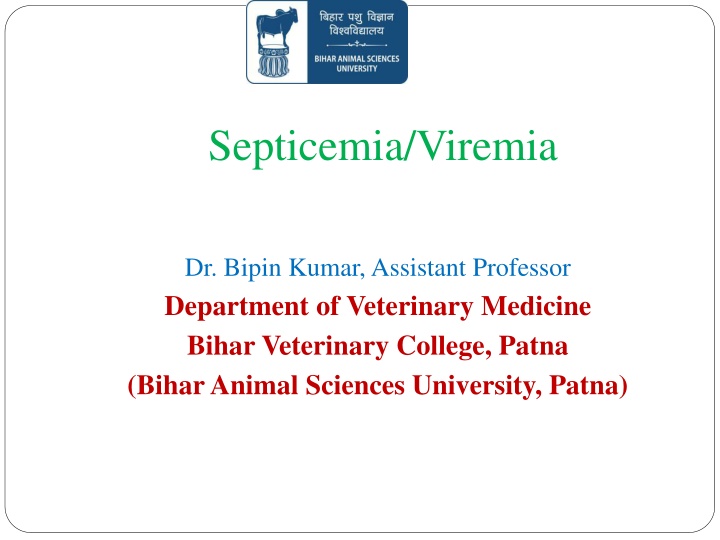 septicemia viremia