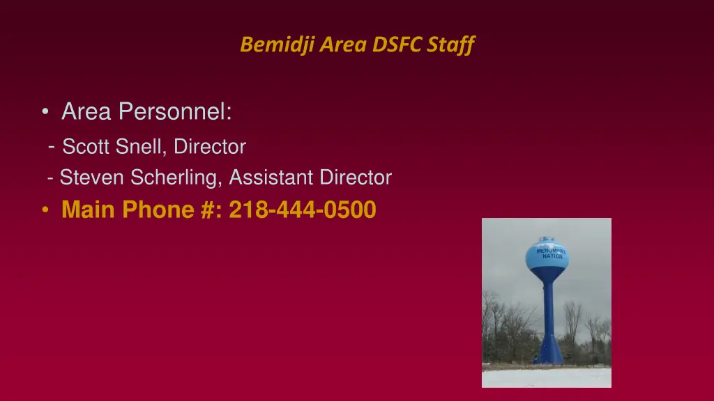 bemidji area dsfc staff