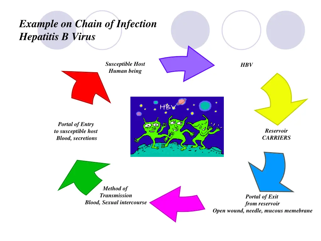 example on chain of infection hepatitis b virus