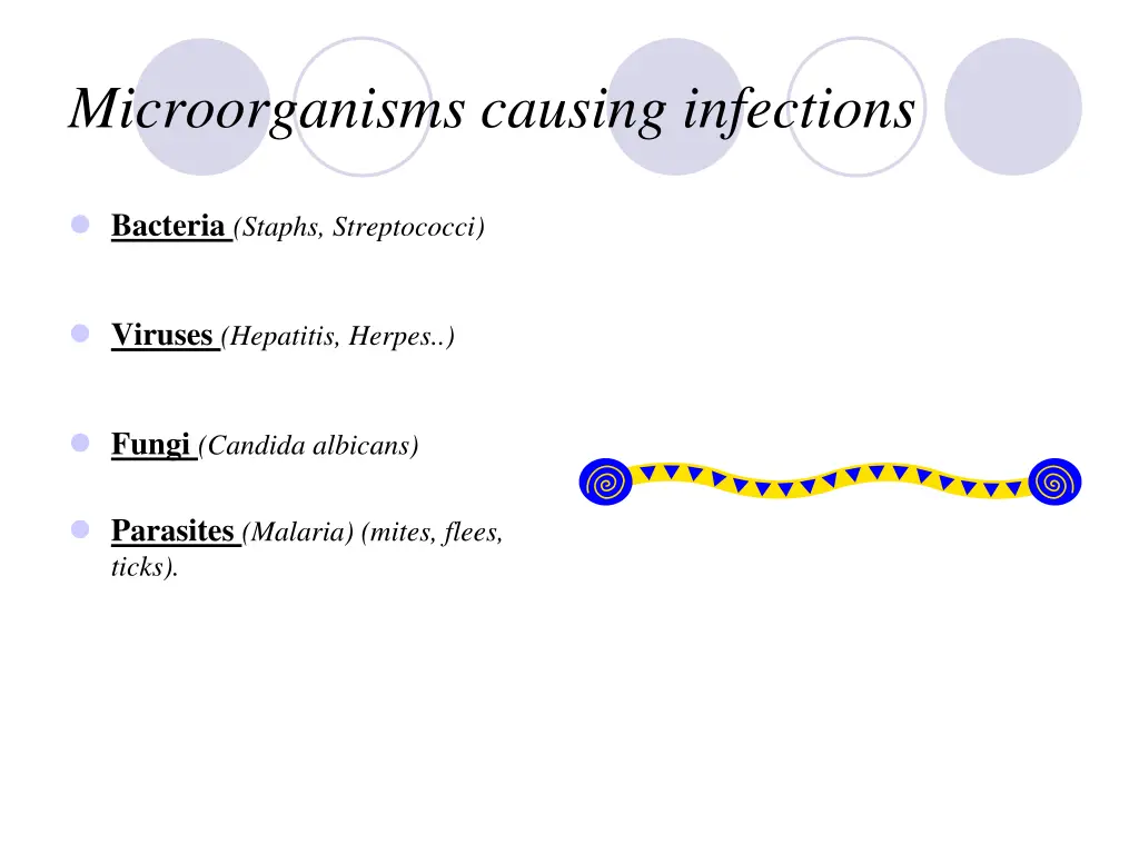 microorganisms causing infections
