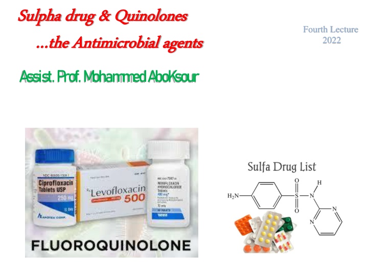sulpha sulphadrug quinolones drug quinolones
