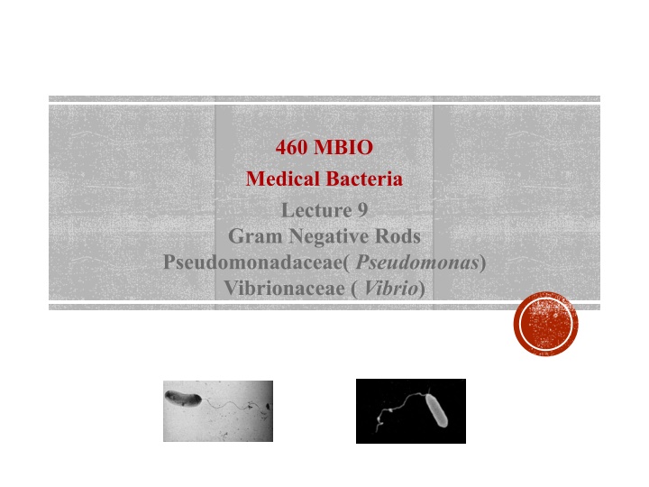 460 mbio medical bacteria lecture 9 gram negative