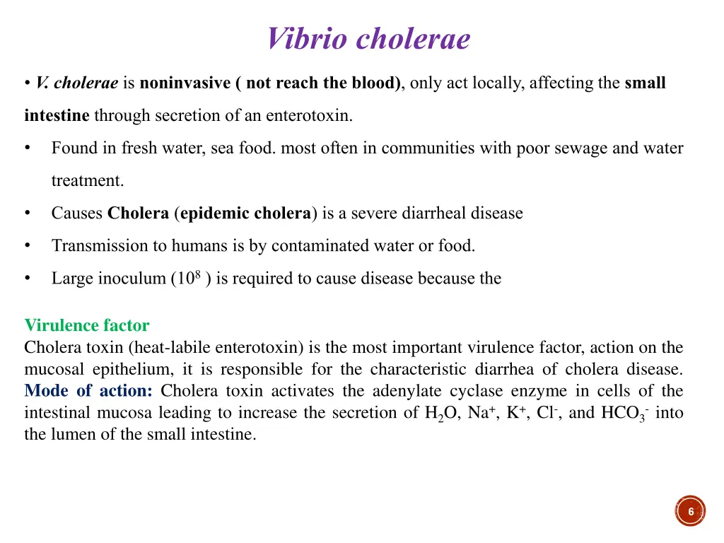 vibrio cholerae
