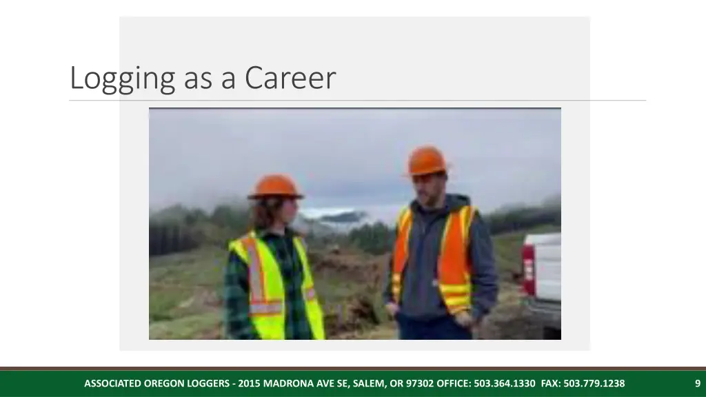 logging as a career
