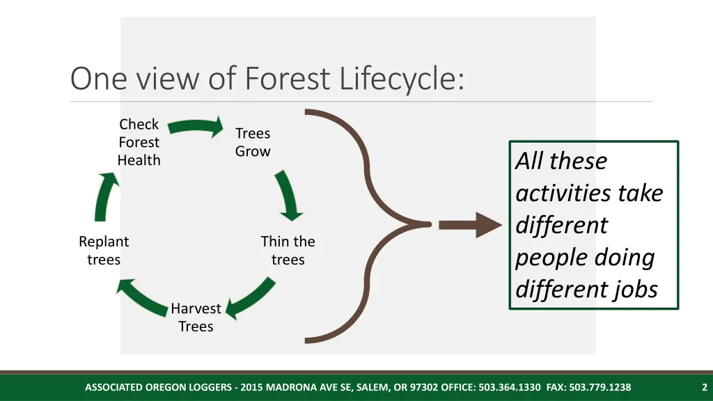 one view of forest lifecycle