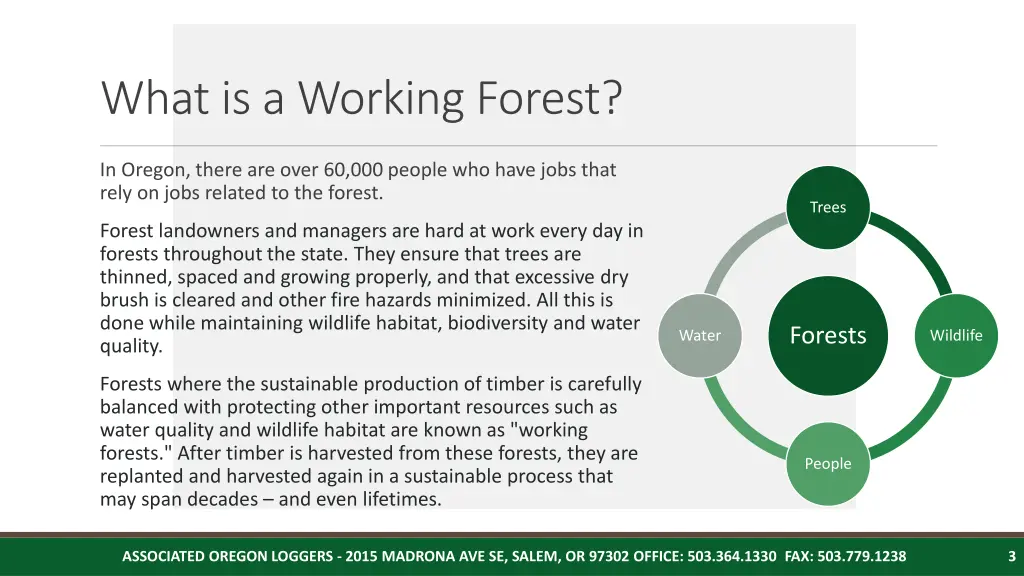 what is a working forest
