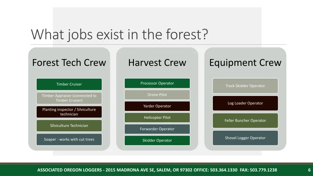 what jobs exist in the forest