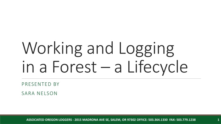 working and logging in a forest a lifecycle