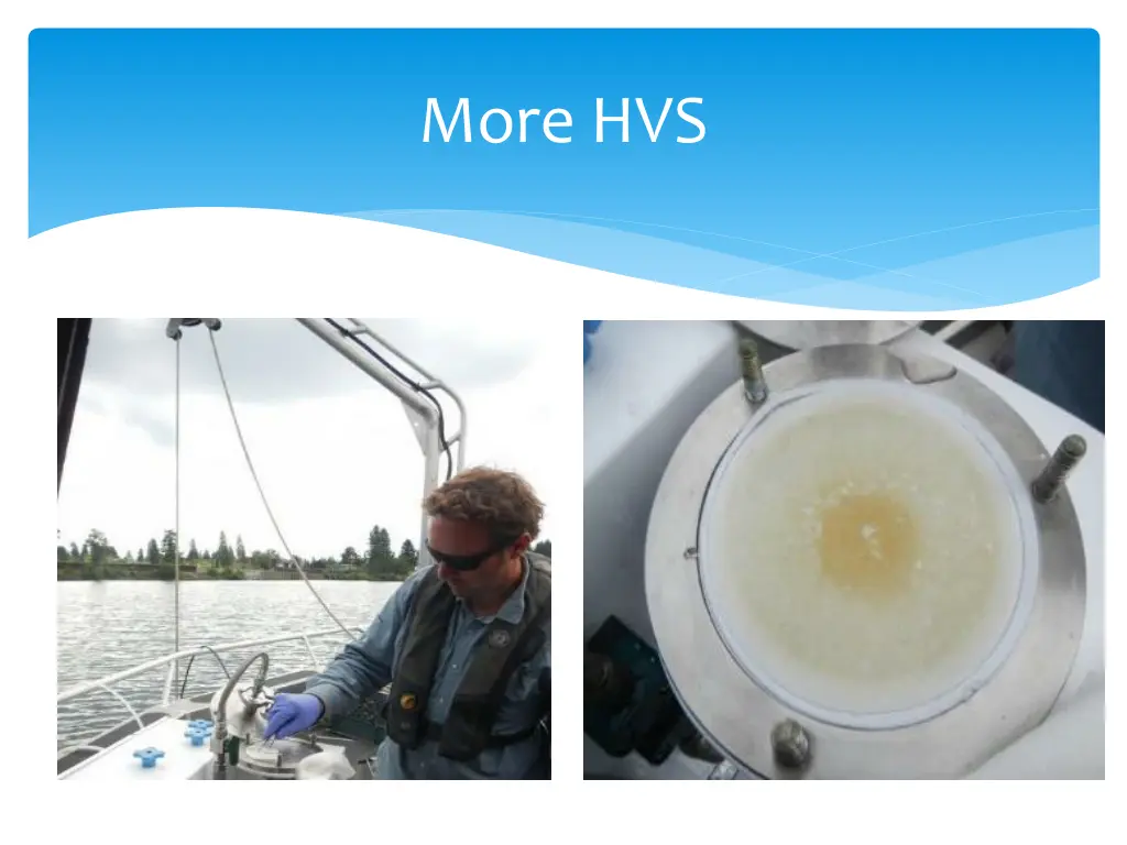 more hvs