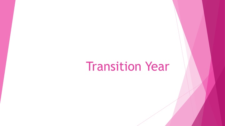 transition year