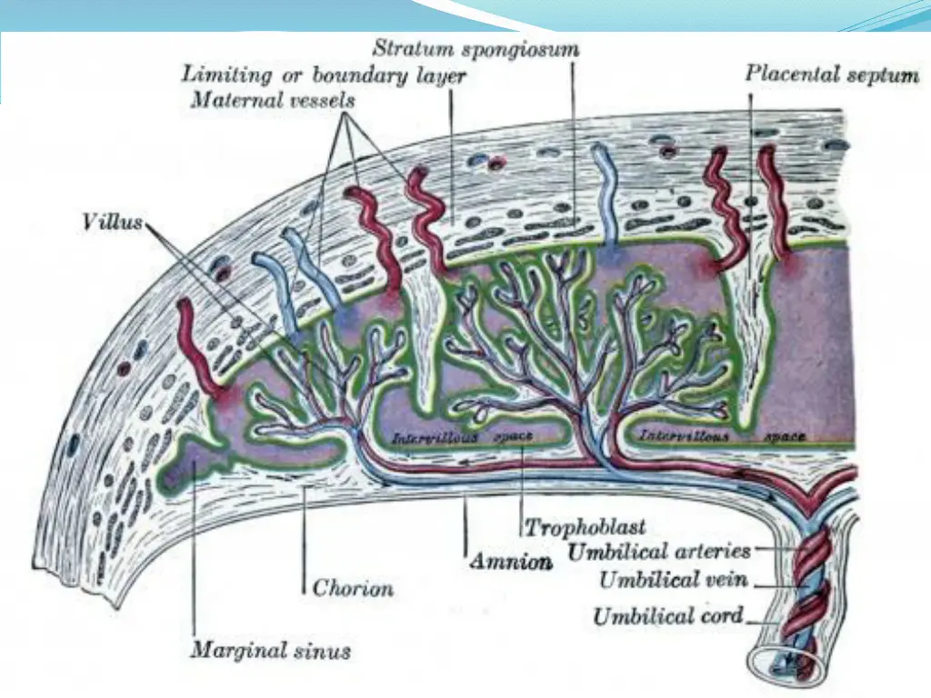 slide11
