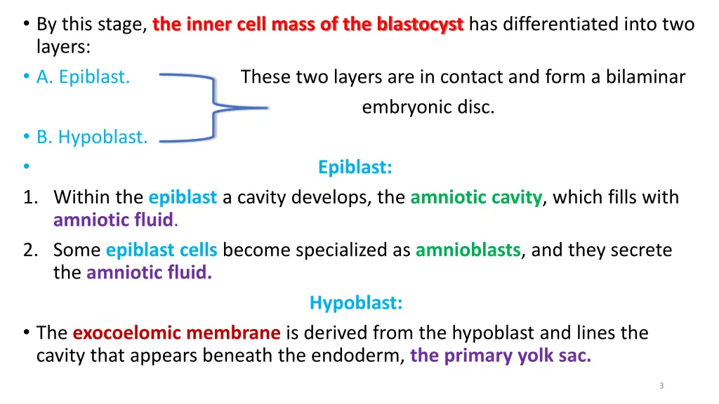 by this stage the inner cell mass