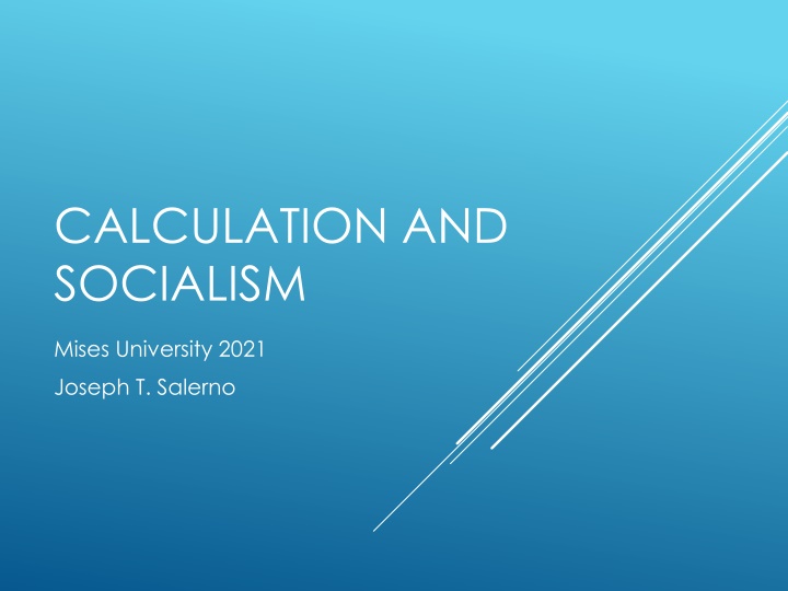 calculation and socialism