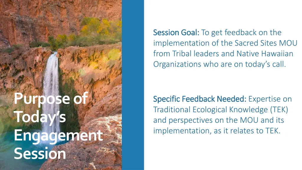 session goal session goal to get feedback