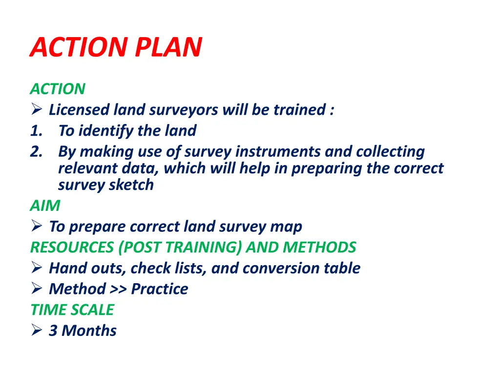 action plan