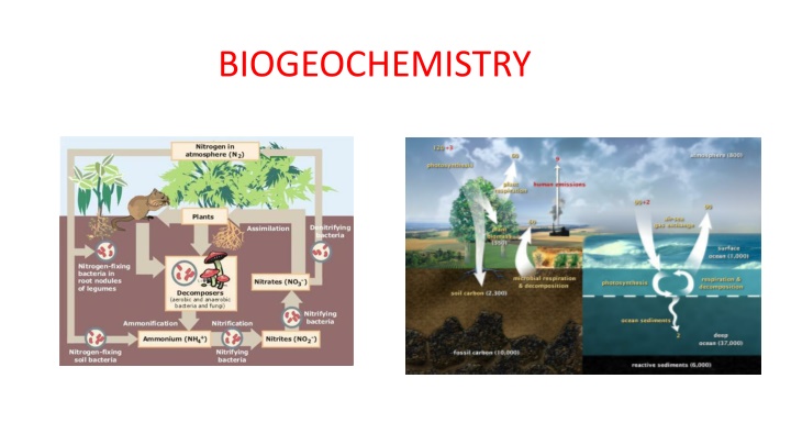 biogeochemistry