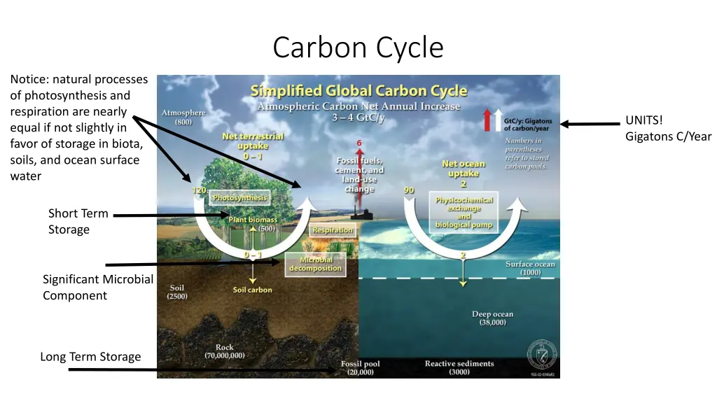 carbon cycle