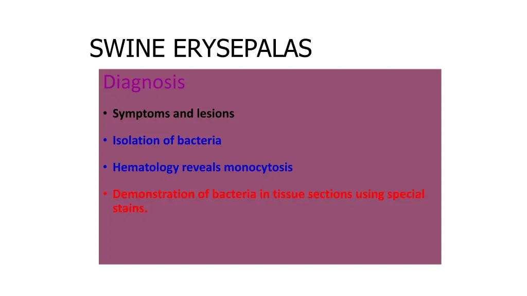 swine erysepalas diagnosis
