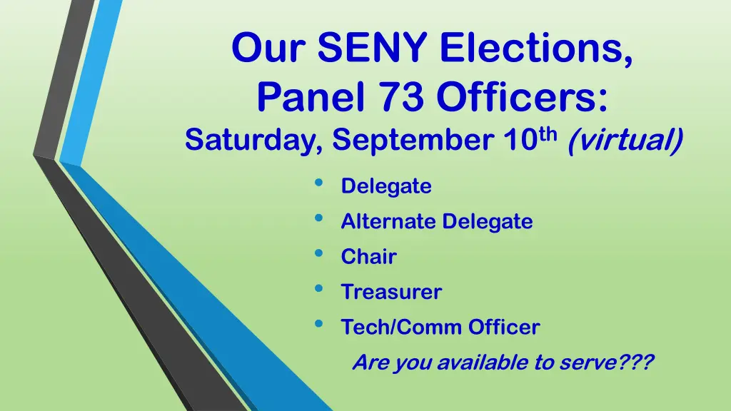 our seny elections panel 73 officers saturday