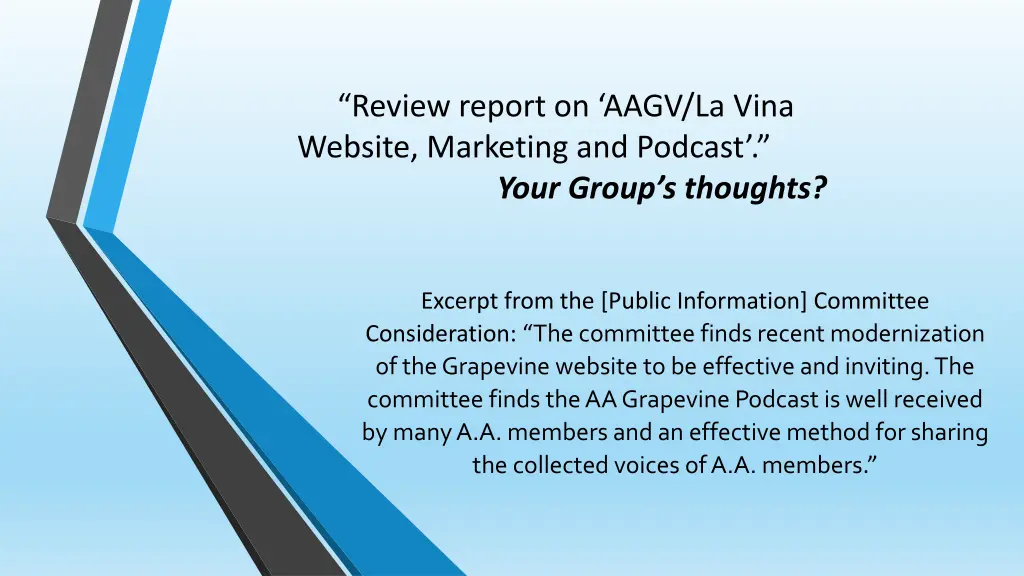 review report on aagv la vina website marketing