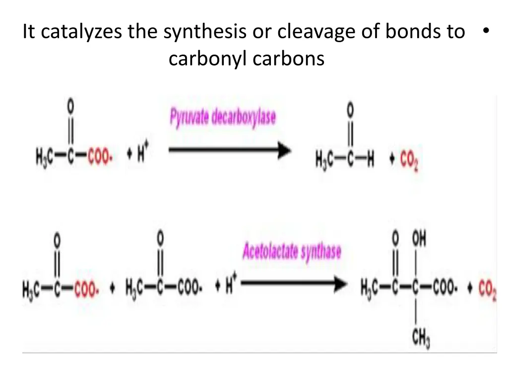slide17