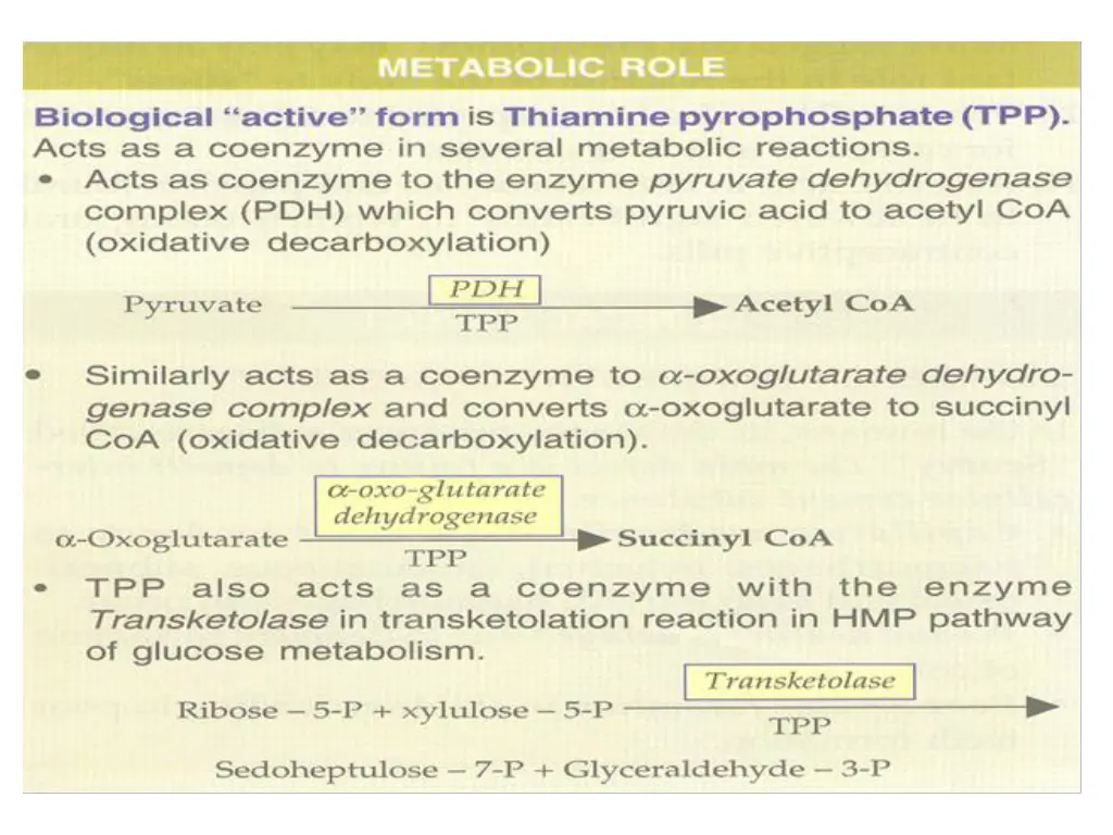 slide18