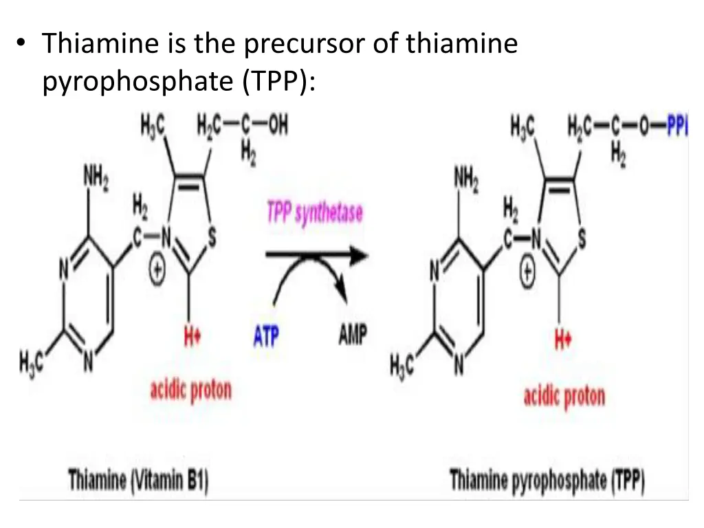 thiamine is the precursor of thiamine