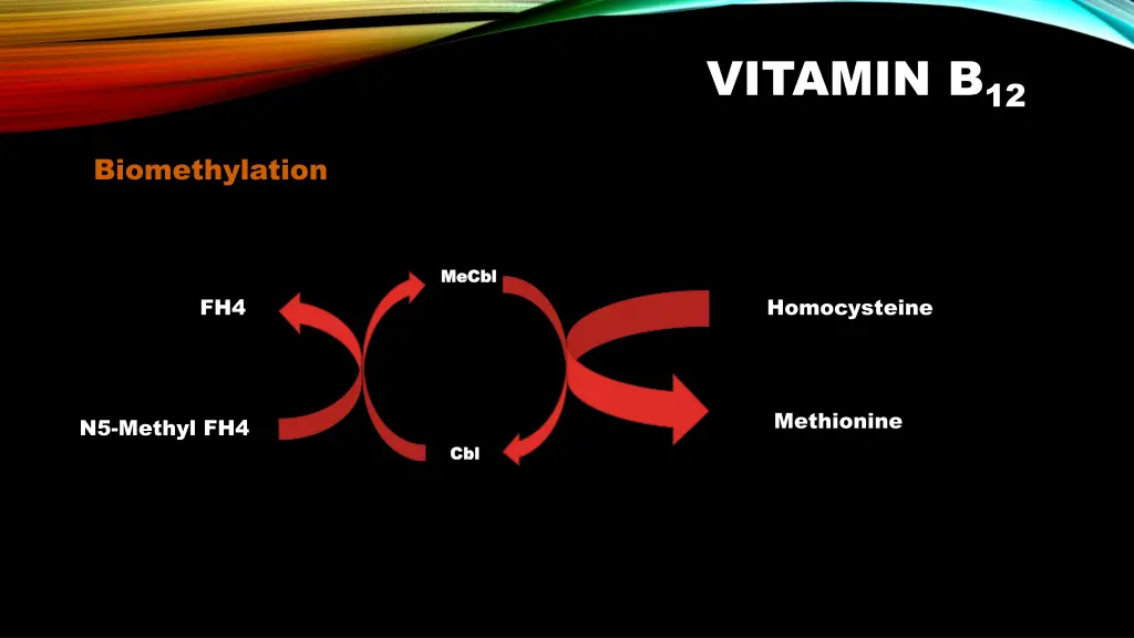 vitamin b 12 6