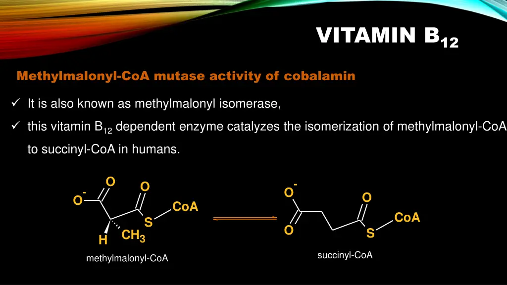 vitamin b 12 7