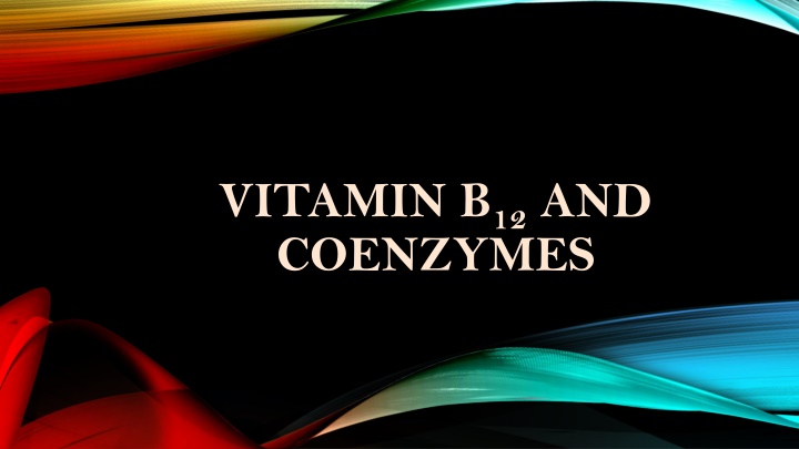vitamin b 12 and coenzymes