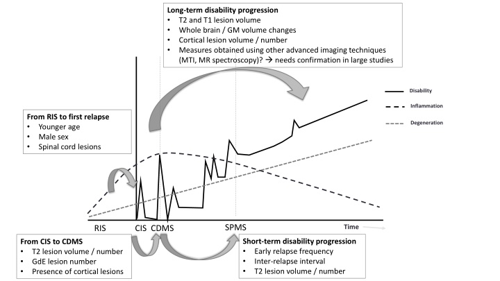 long term disability progression t2 and t1 lesion