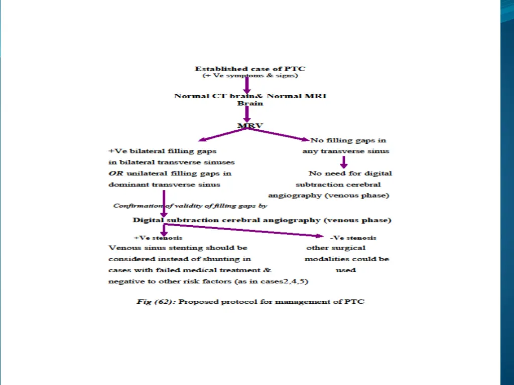 slide24