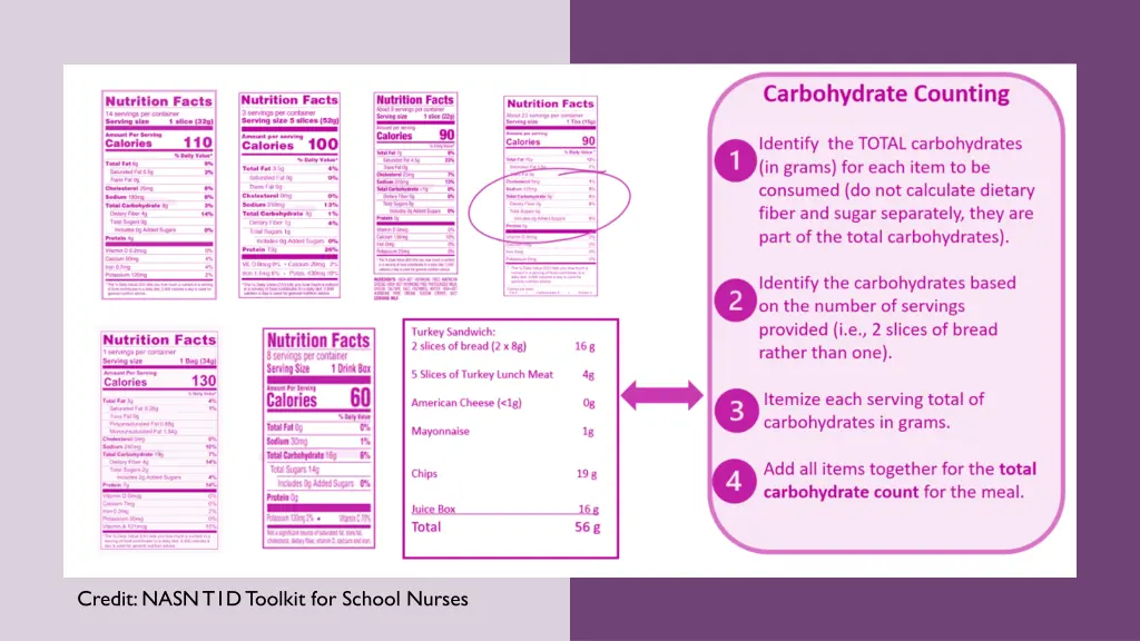 credit nasn t1d toolkit for school nurses