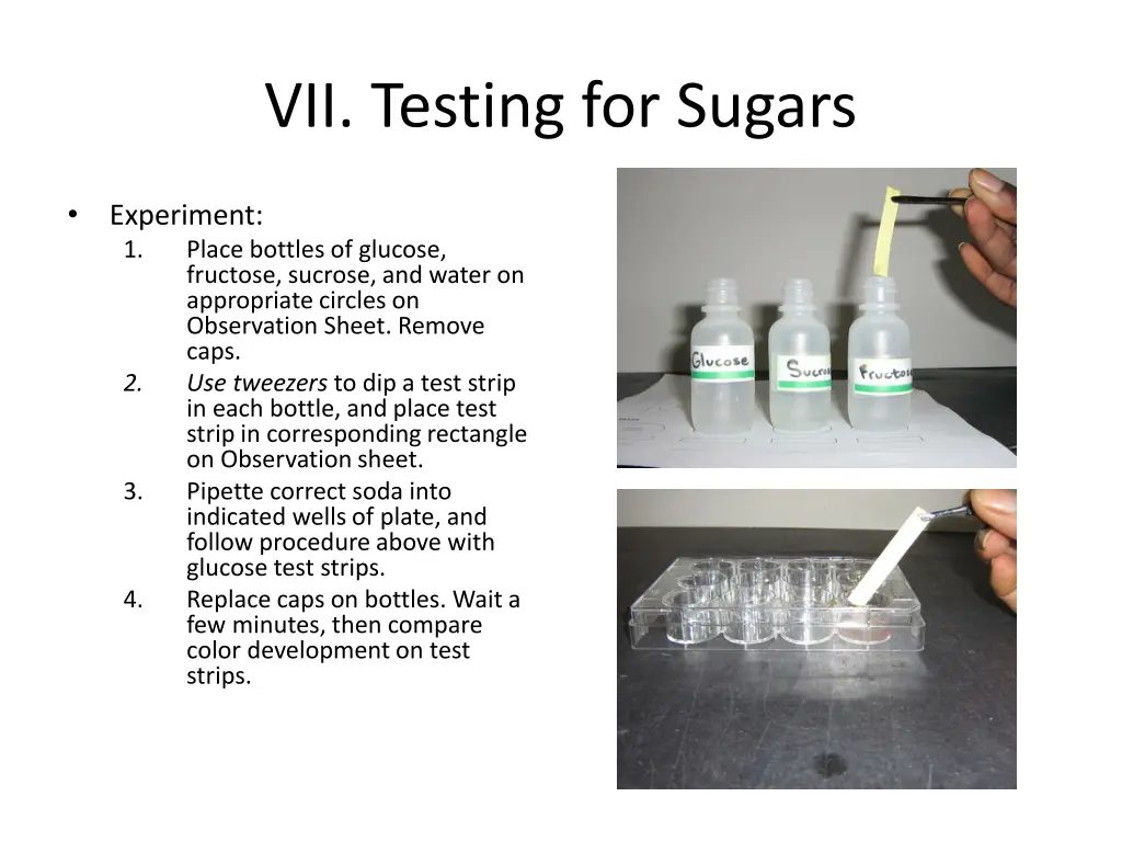 vii testing for sugars 2