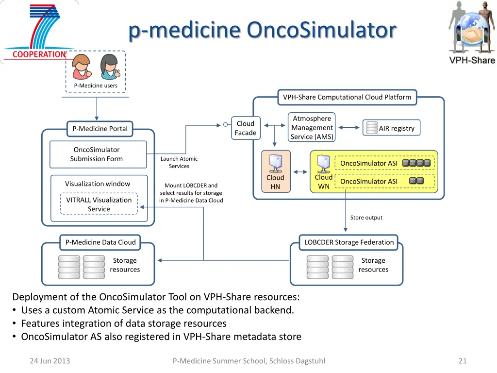 p medicine oncosimulator