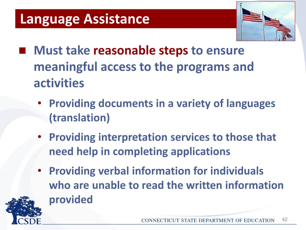 language assistance 1
