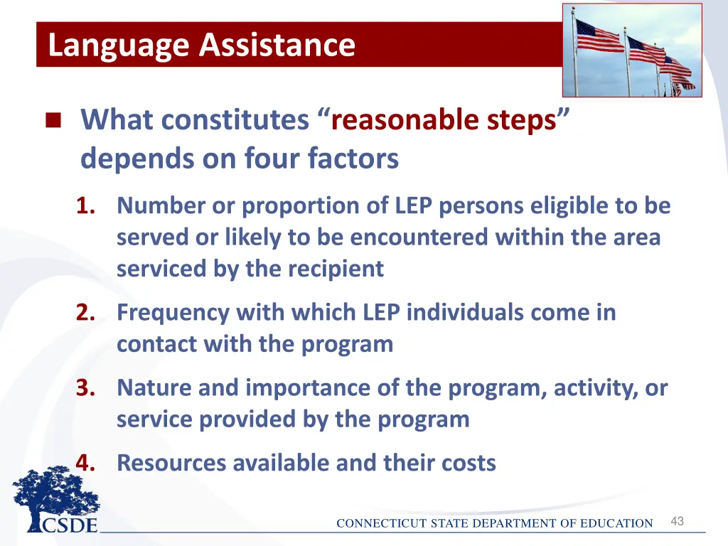 language assistance 2