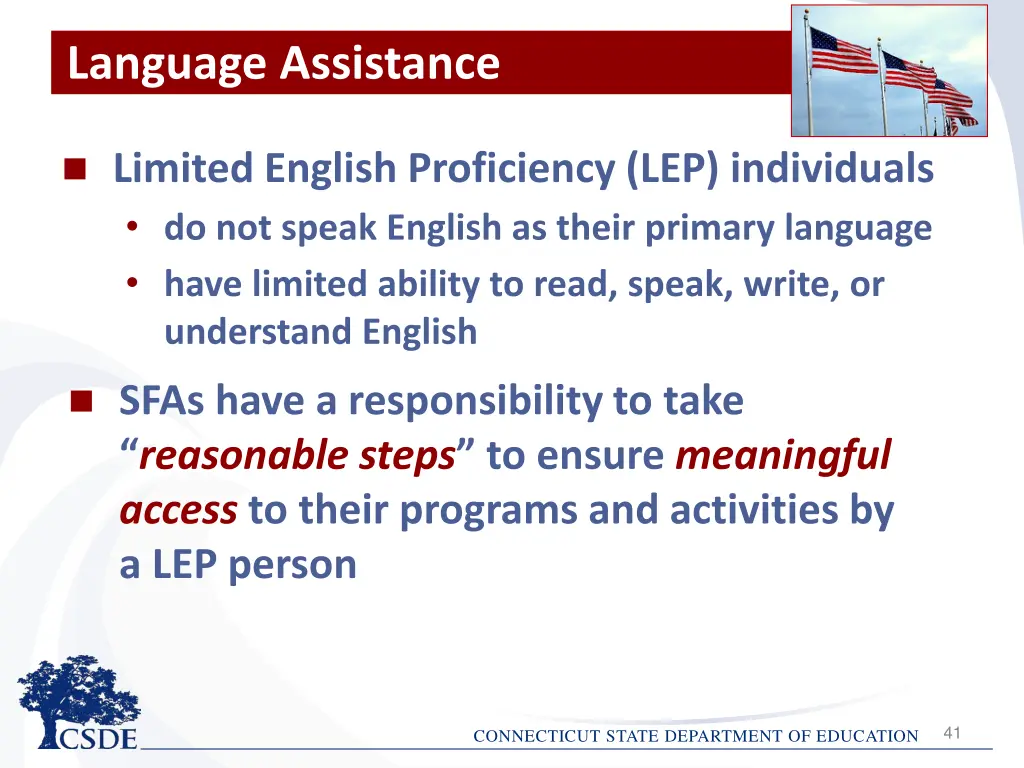 language assistance
