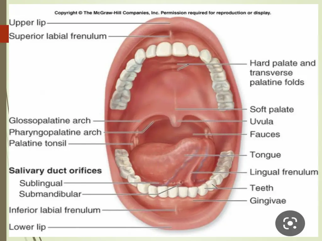 slide9