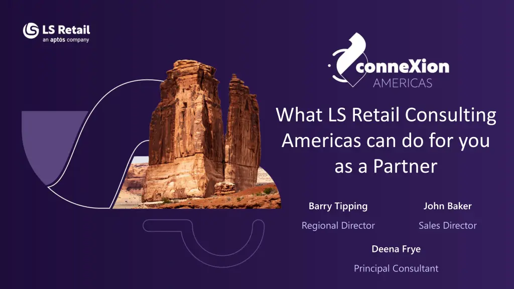 what ls retail consulting americas