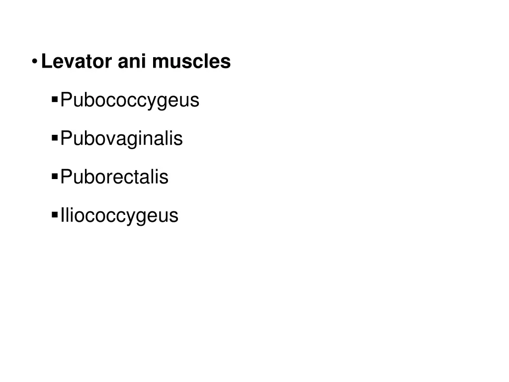levator ani muscles