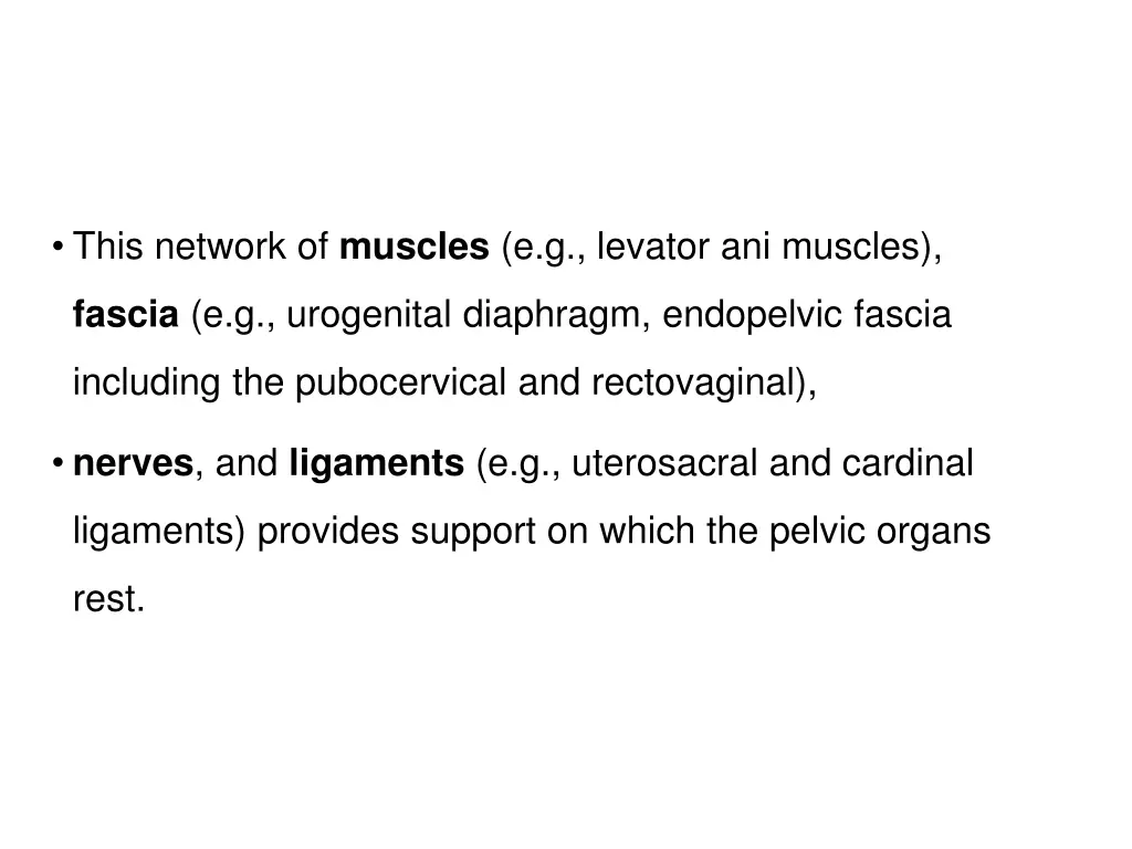 this network of muscles e g levator ani muscles