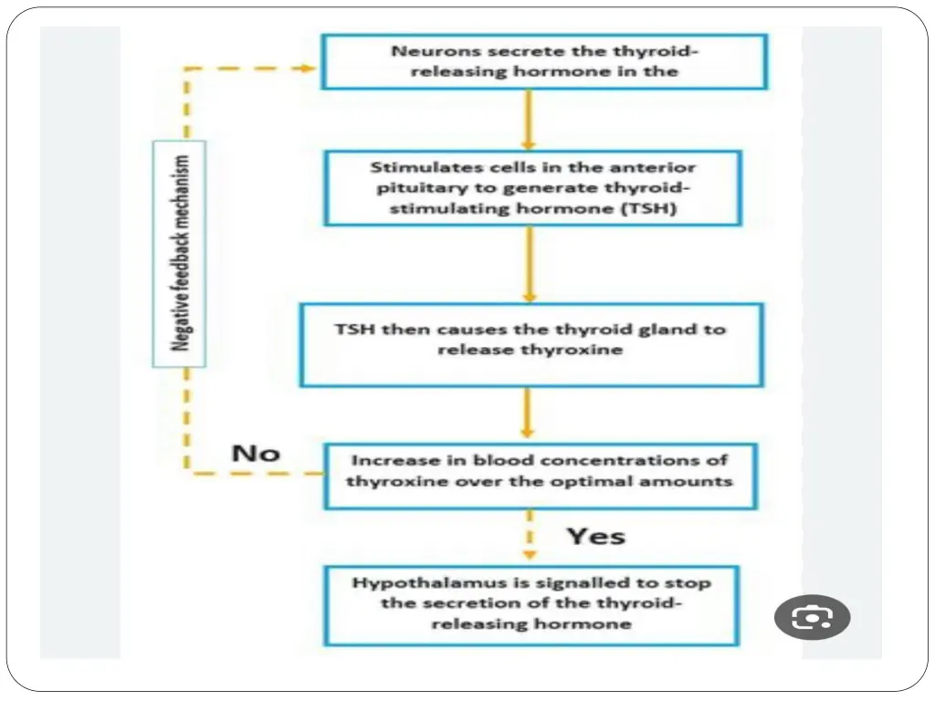 slide19