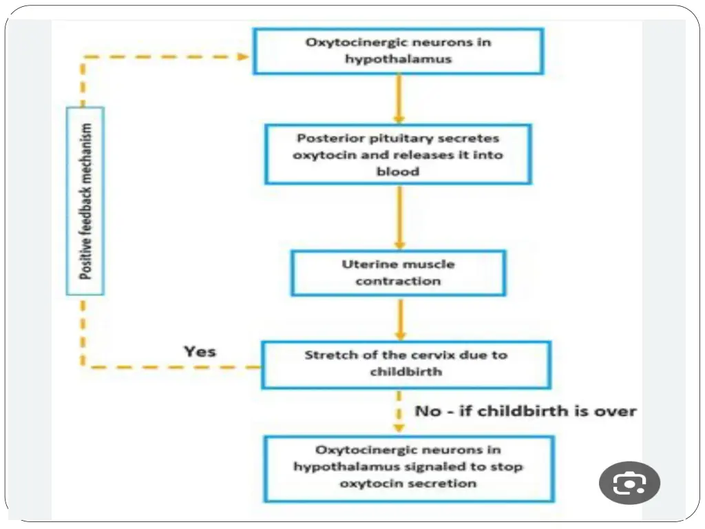 slide23